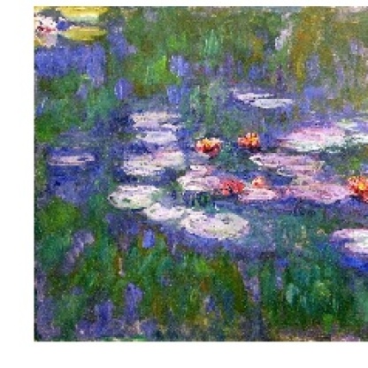 Monet from Water Lilies